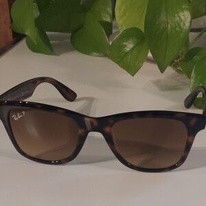 Ray-Ban Brown Tortoise Sunglasses
